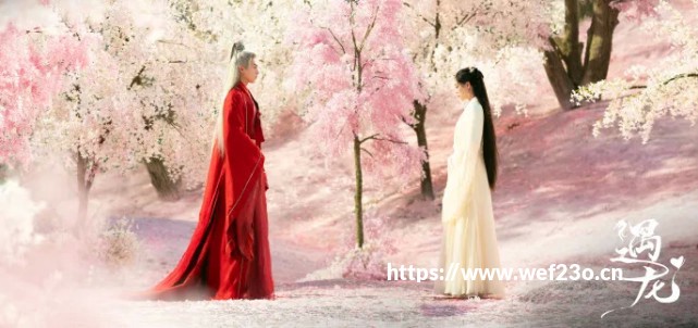 电影频道4月2日播出《宝可梦：超梦的逆袭 进化》攻略